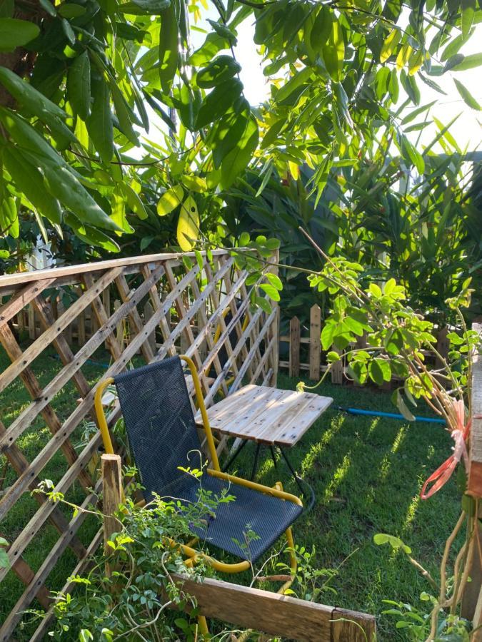 Laoxao Homestay Hoi An Exterior photo